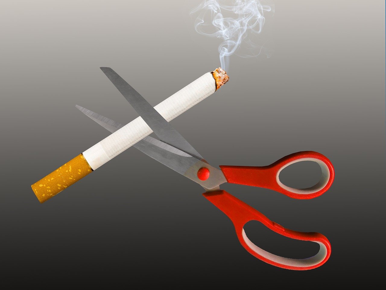 武术刀价格探讨，影响因素全解析