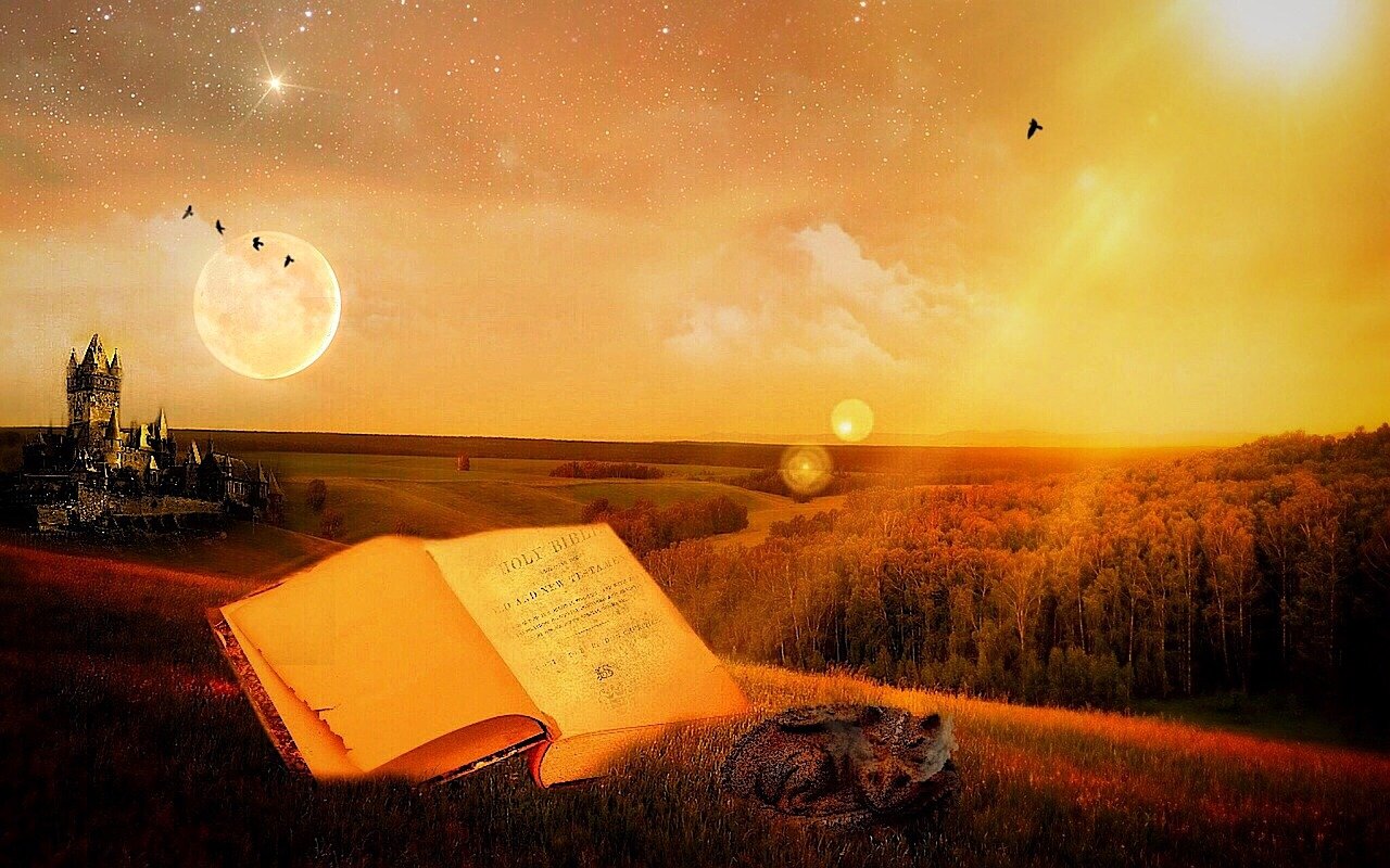 探索明星文案背后的力量，揭秘光芒背后的故事