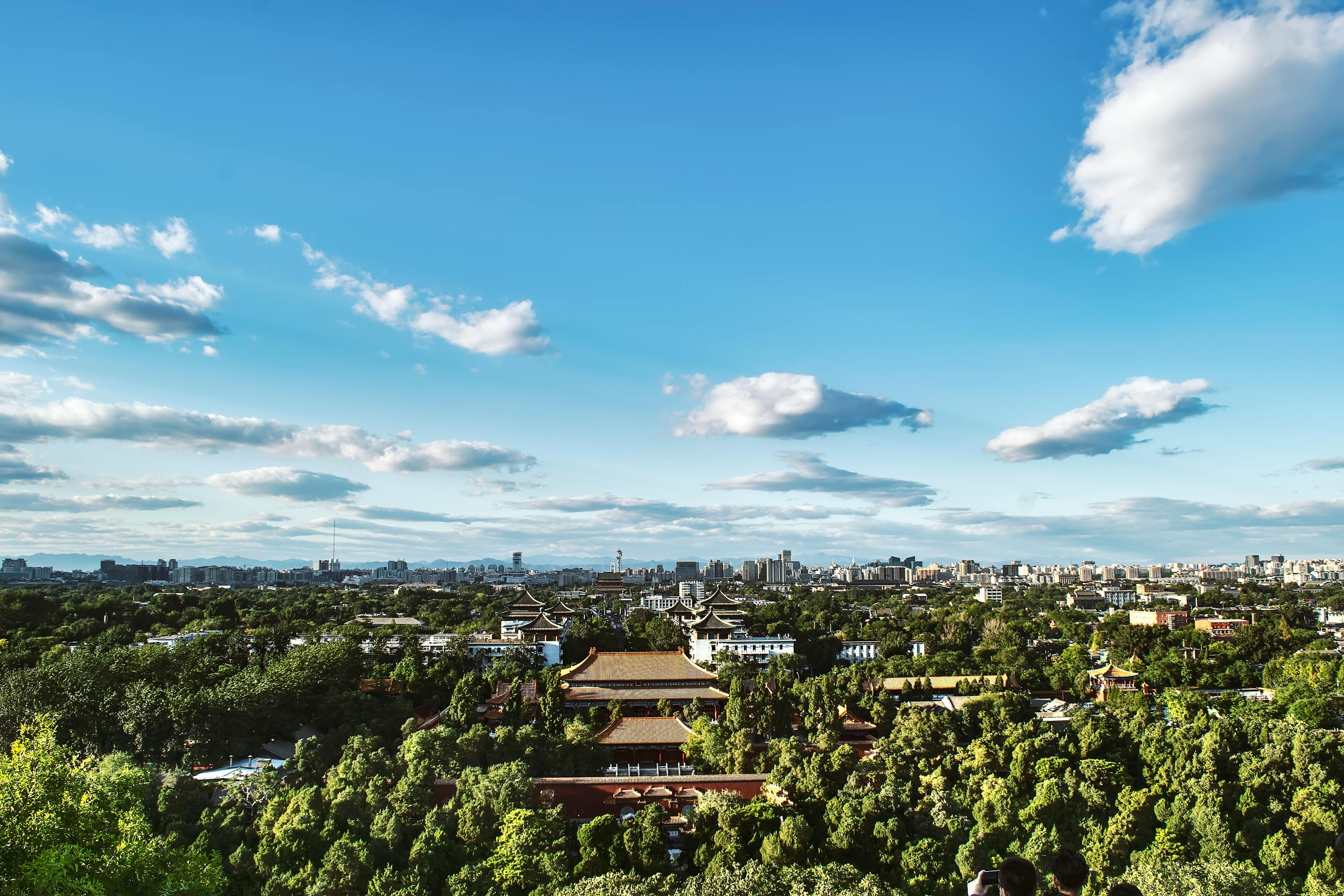 岳阳友阿最新动态，城市发展与商业革新的同步前行