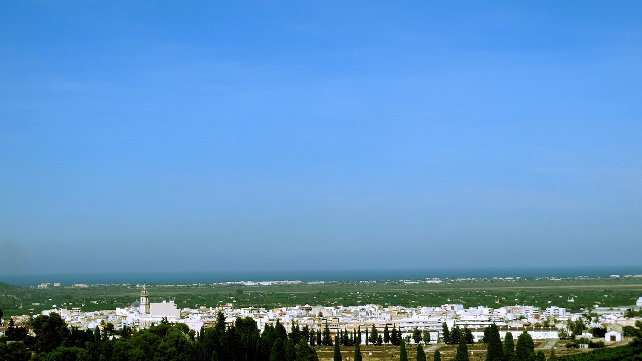 最新晶锐价格动态，市场影响力与市场反应