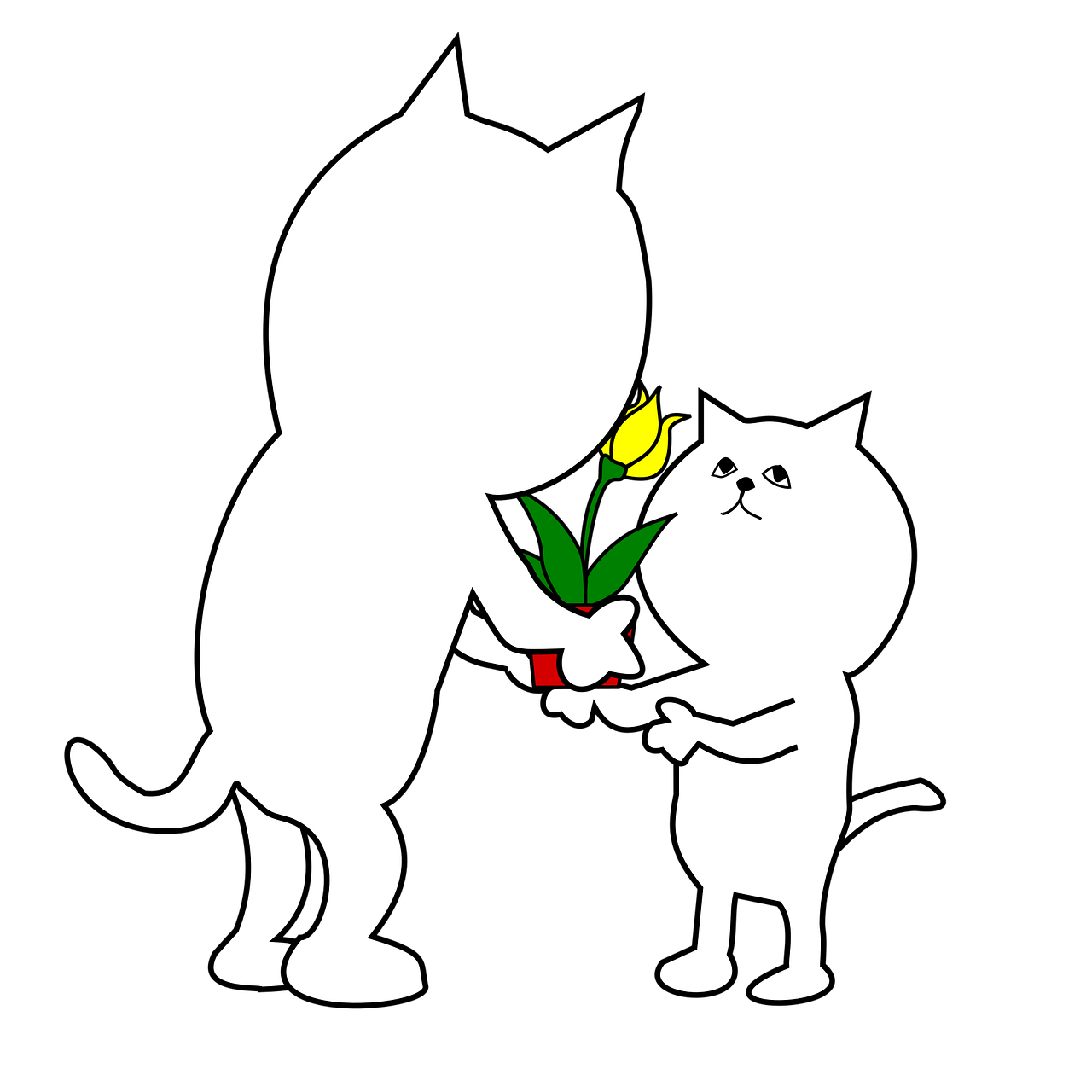 动漫猫的画法指南，一步步教你如何绘制可爱的动漫猫