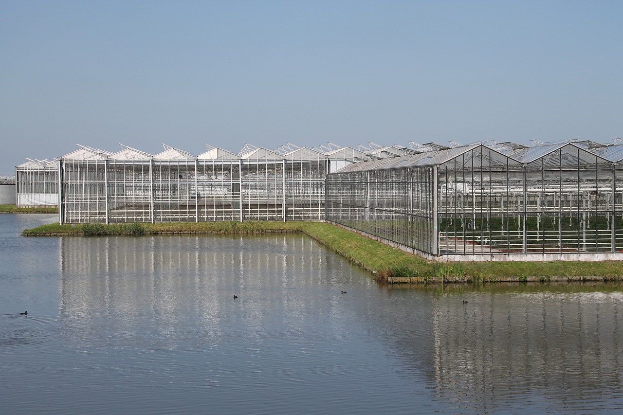 南沙区最新重大项目，区域发展的强大引擎驱动力