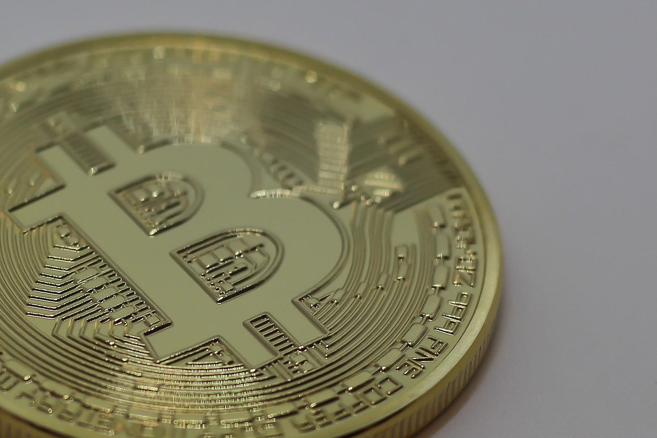 紫苏价格行情分析与趋势预测