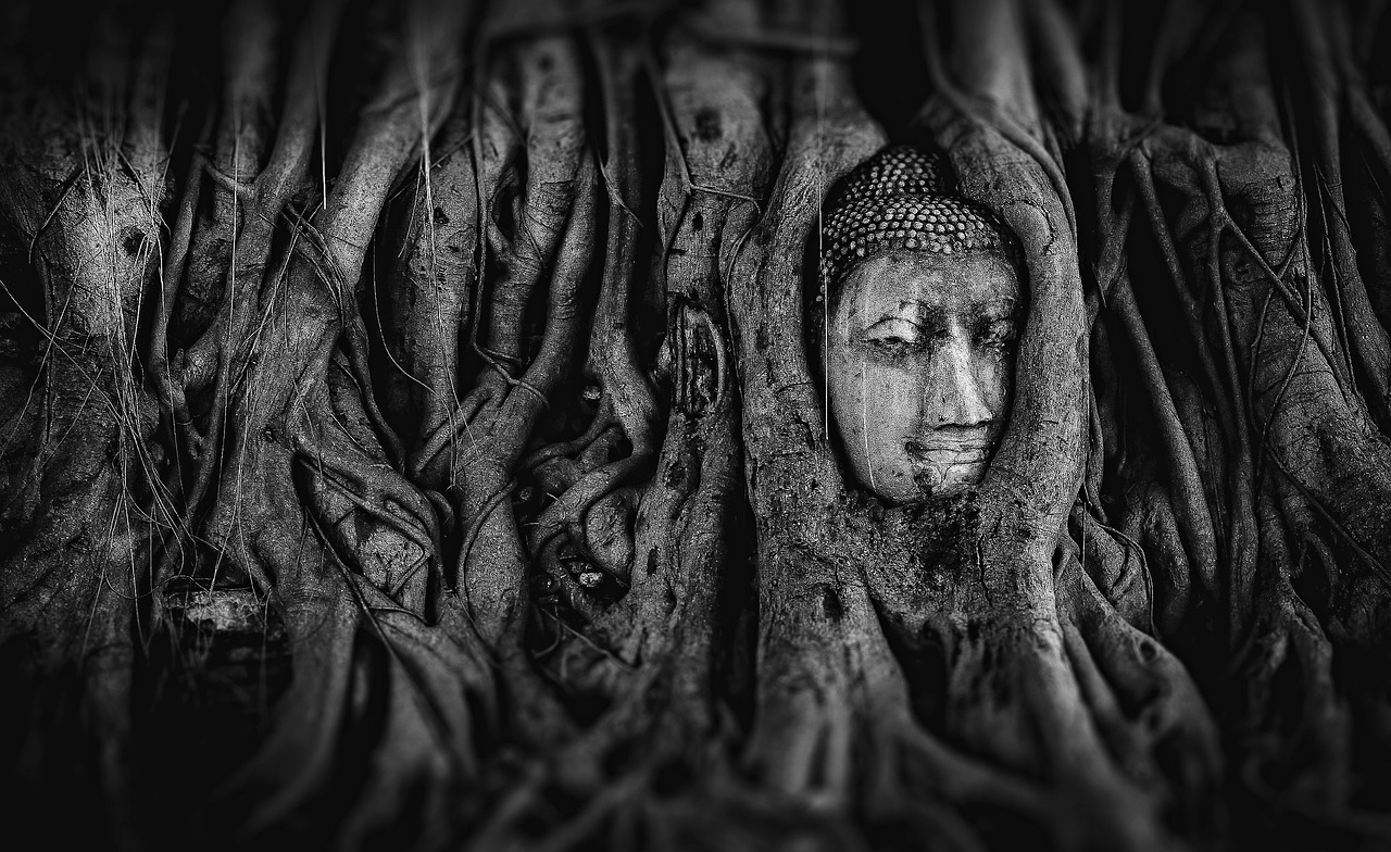 探寻神秘世界的奇幻之旅，超品相师最新章节阅读