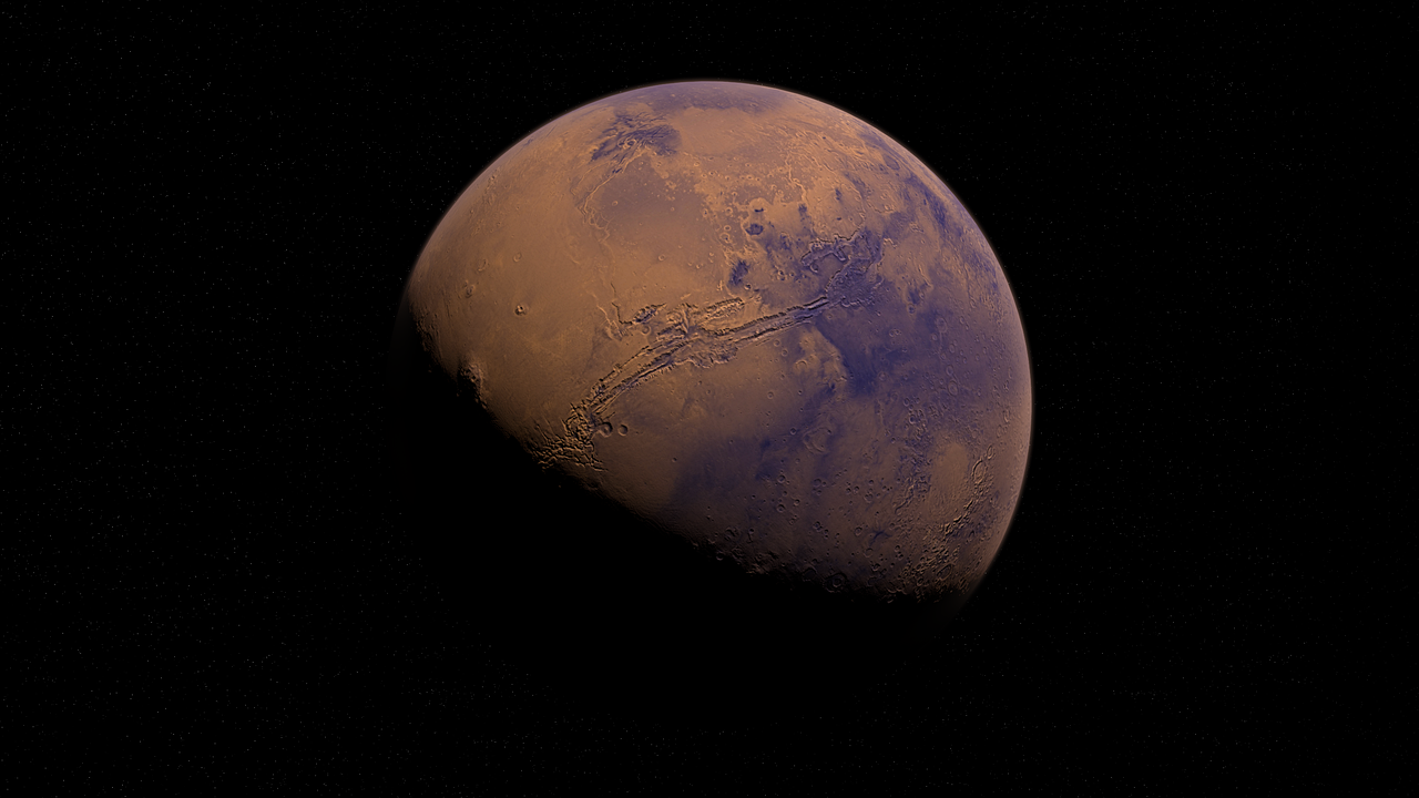 揭秘星光熠熠的姓熊明星，人生旅程的璀璨轨迹
