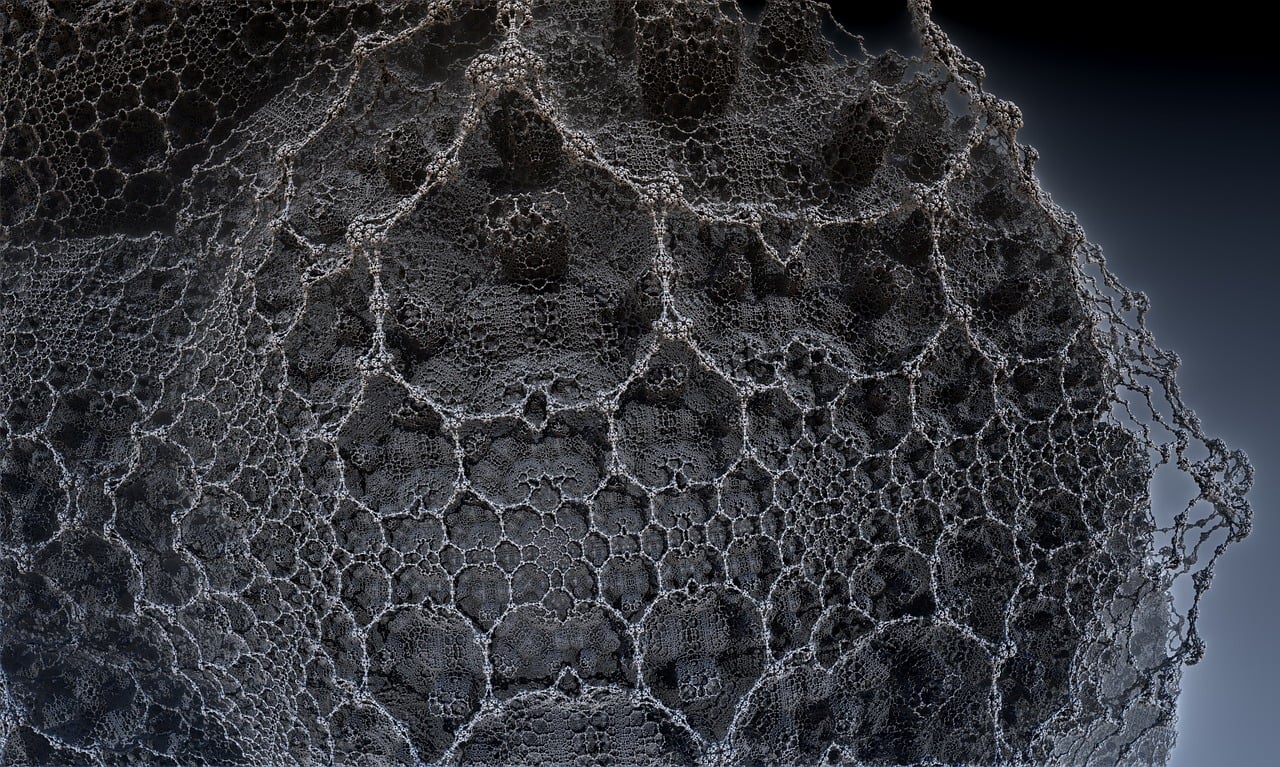 太仓孙锦泉最新动态，传奇人物的崭新篇章