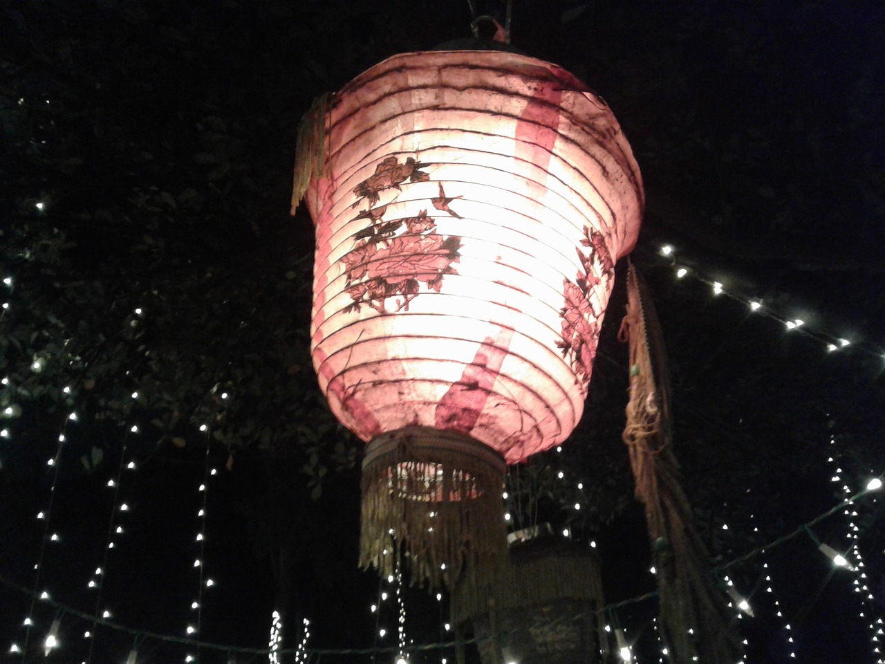 金鸡百花电影节，光影盛宴与文化交流之夜