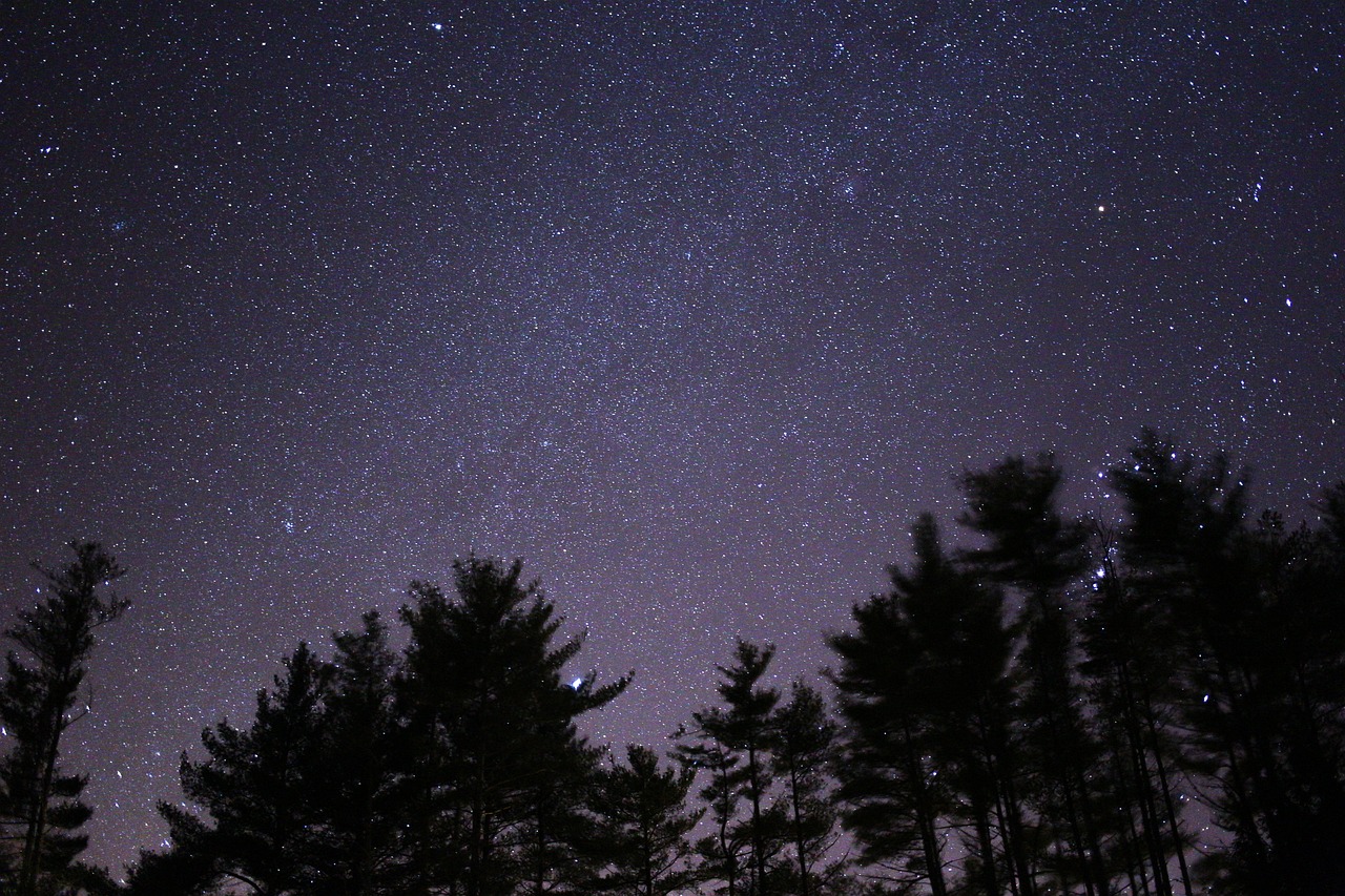 璀璨星辰之冠，最受欢迎女明星的魅力与闪耀