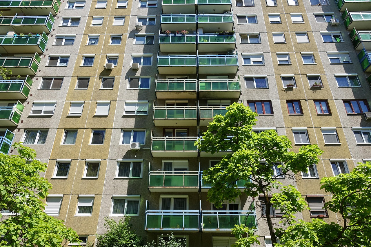 辛集上门资讯，揭示城市服务崭新面貌