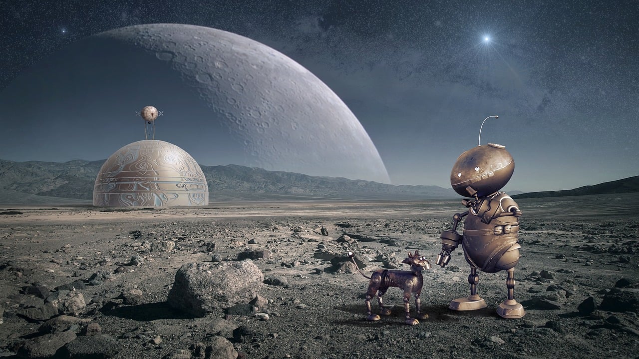 明星、H小说与虚构魅力的探索