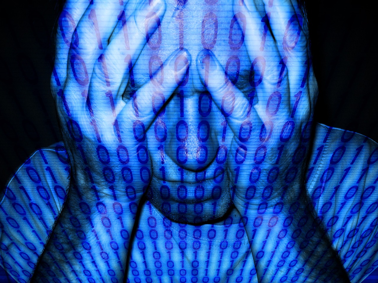 病毒动漫，数字时代的文化现象探索