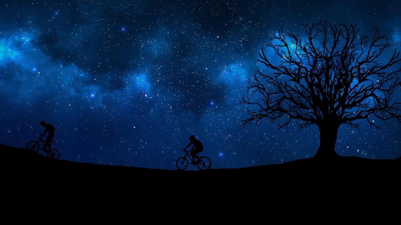明日之子最新助唱嘉宾星光闪耀，音乐无界之夜