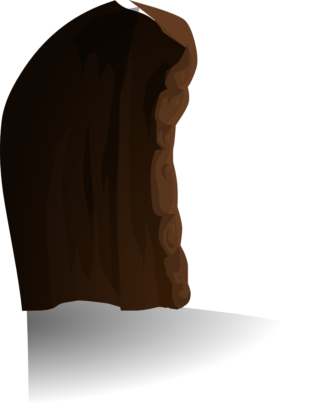 陇神戎发最新资讯,探索前沿技术,掌握发展动态