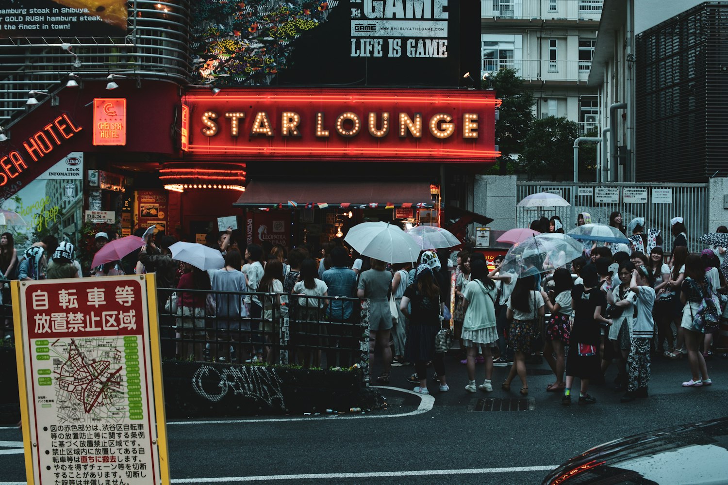 电影院明星见面会，近距离感受光影魅力之夜