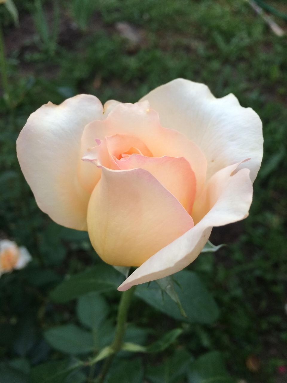 汇仁阳光花园最新价格动态与市场影响力揭秘