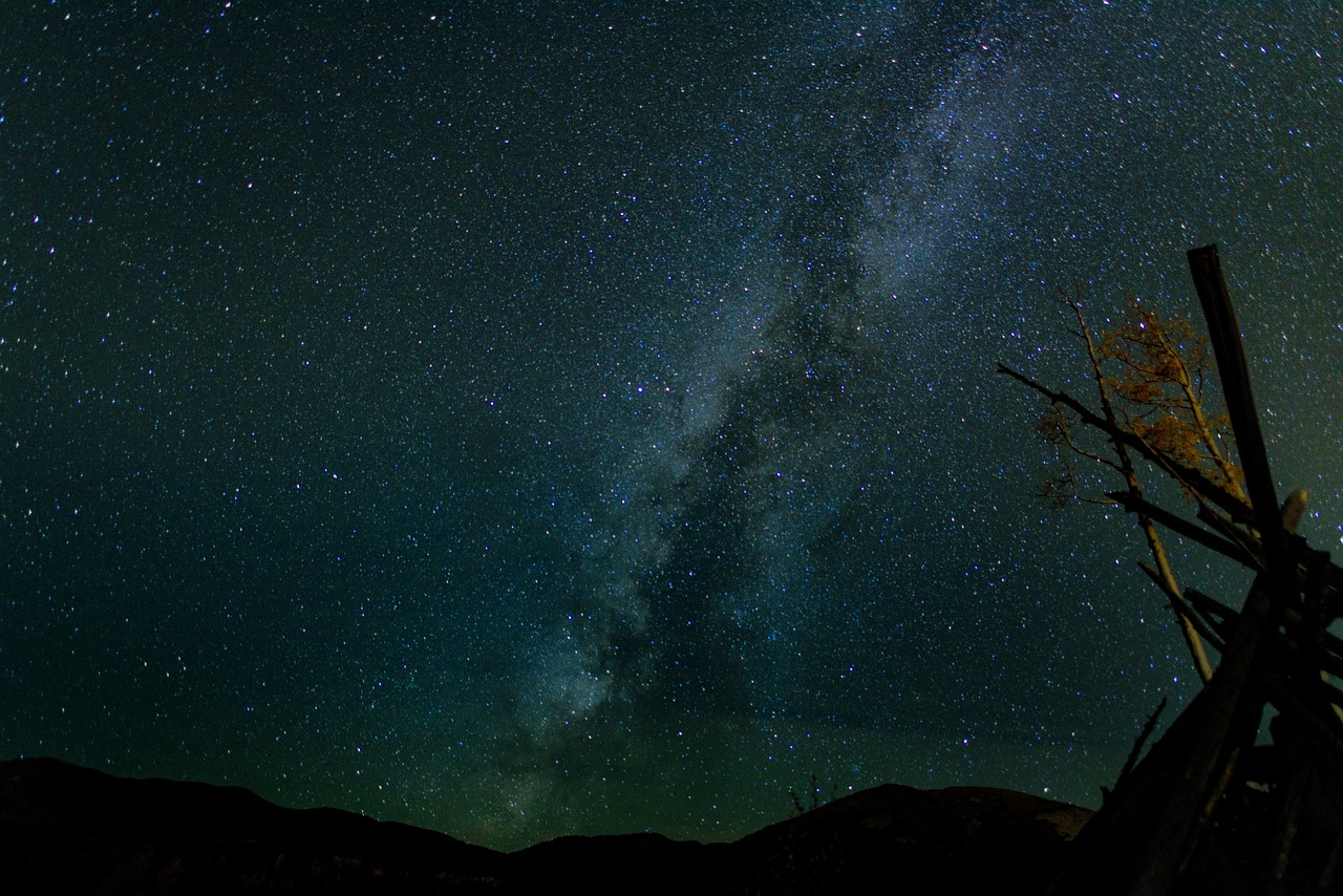 探寻星座明星的璀璨秘密