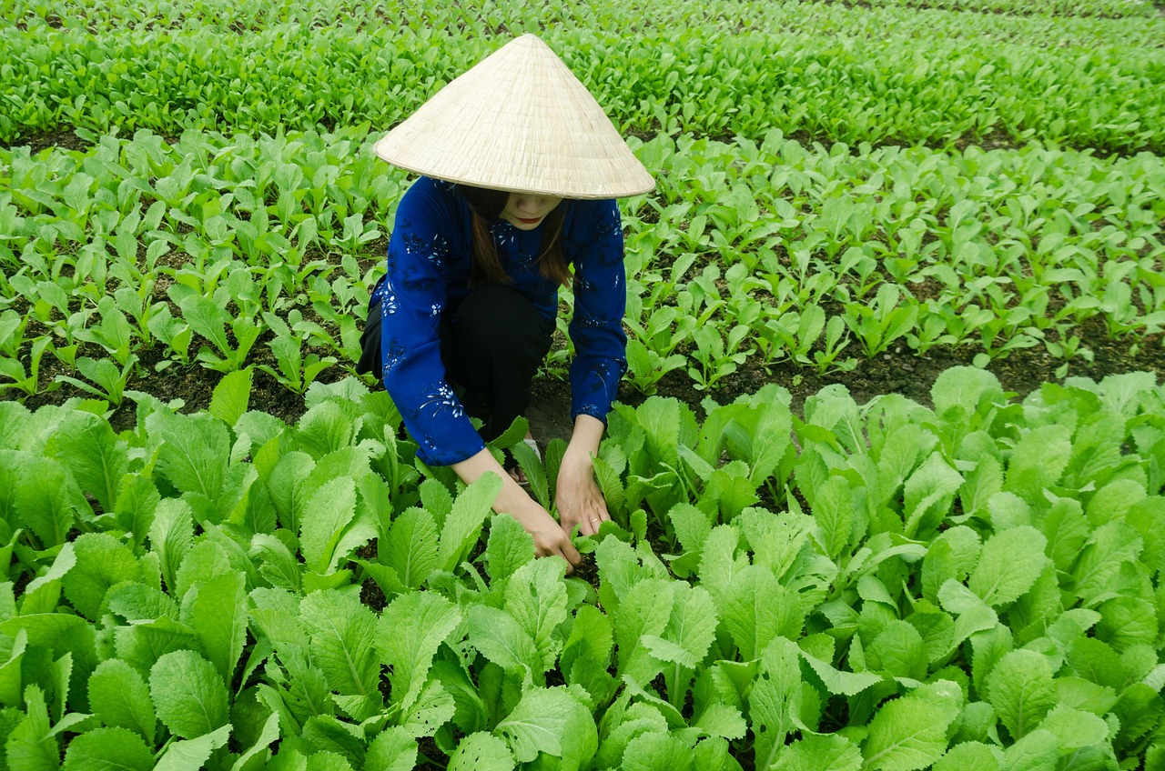 桐城并入合肥的最新进展动态