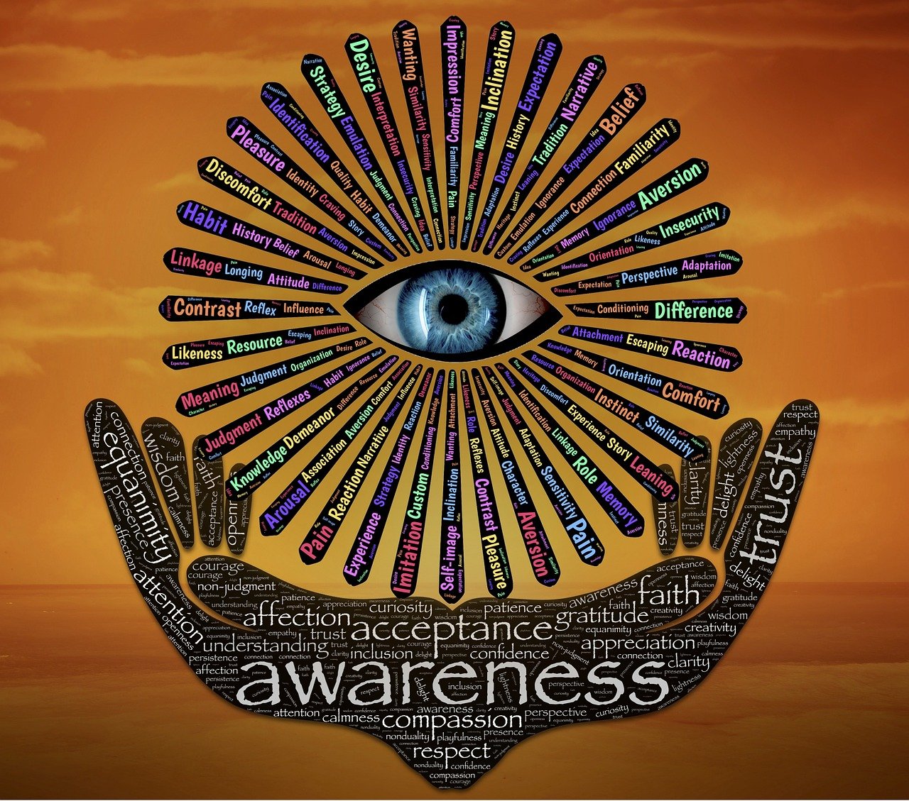 最新资源库,探索、发展与利用之旅