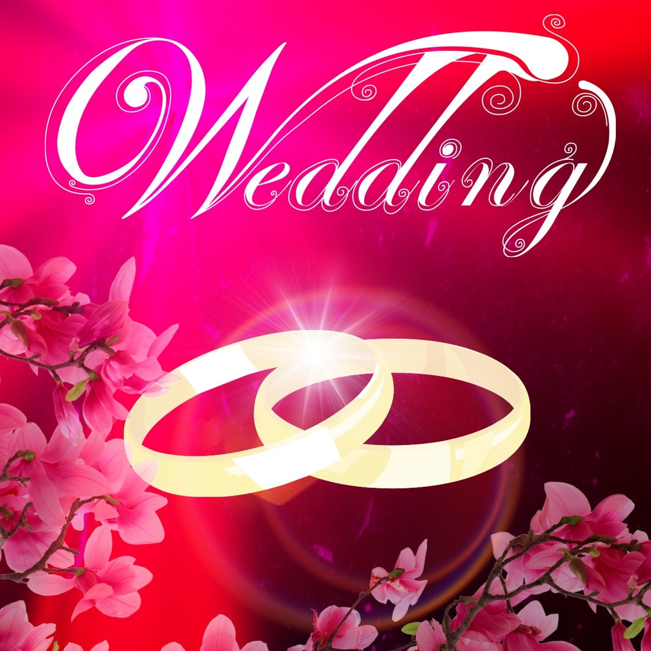 现代都市婚恋新篇章，只婚不恋的最新章节揭秘