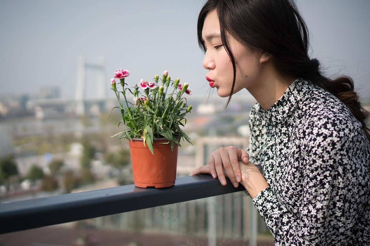 女演员壁纸的魅力与影响力