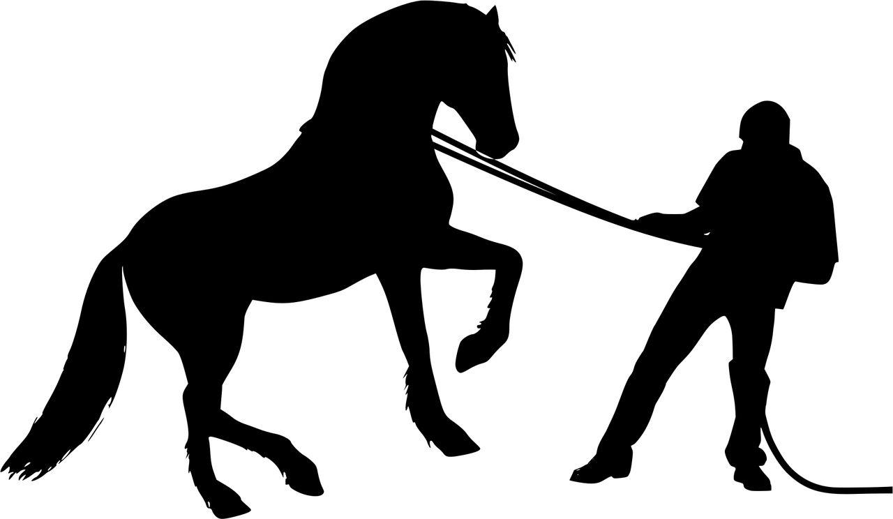 动感十足的舞步世界，带你走进最新流行步伐舞教程（2017版）