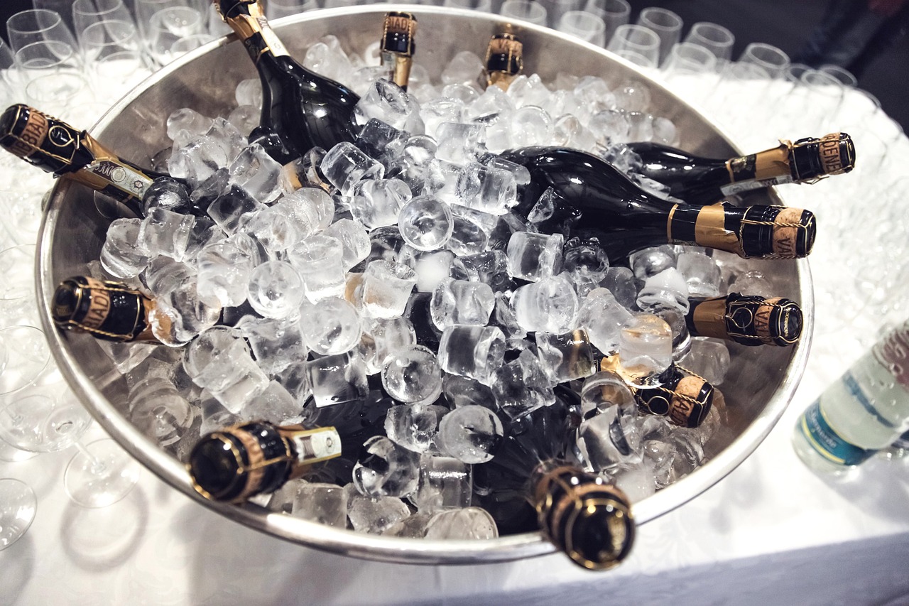 雷司令干白葡萄酒价格深度解析，市场态势与影响因素探讨