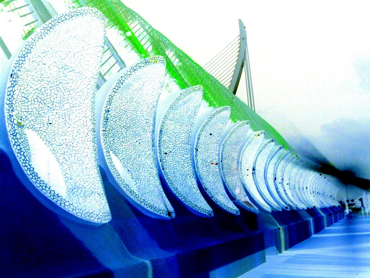 襄阳最新动态解读,城市发展的蓬勃活力及未来展望